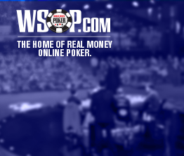 WSOP About Image